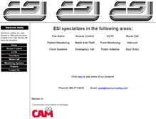 Tablet Screenshot of electronicsafety.com